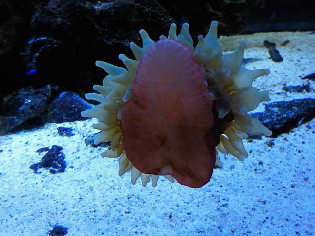 f:id:Flash-korin-BW:20121030125300j:plain f:id:Flash-korin-BW:20121030125300j:plain