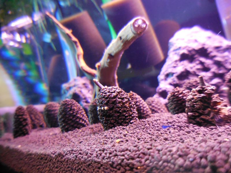 f:id:Fleuve:20140331224822j:plain f:id:Fleuve:20140331224822j:plain