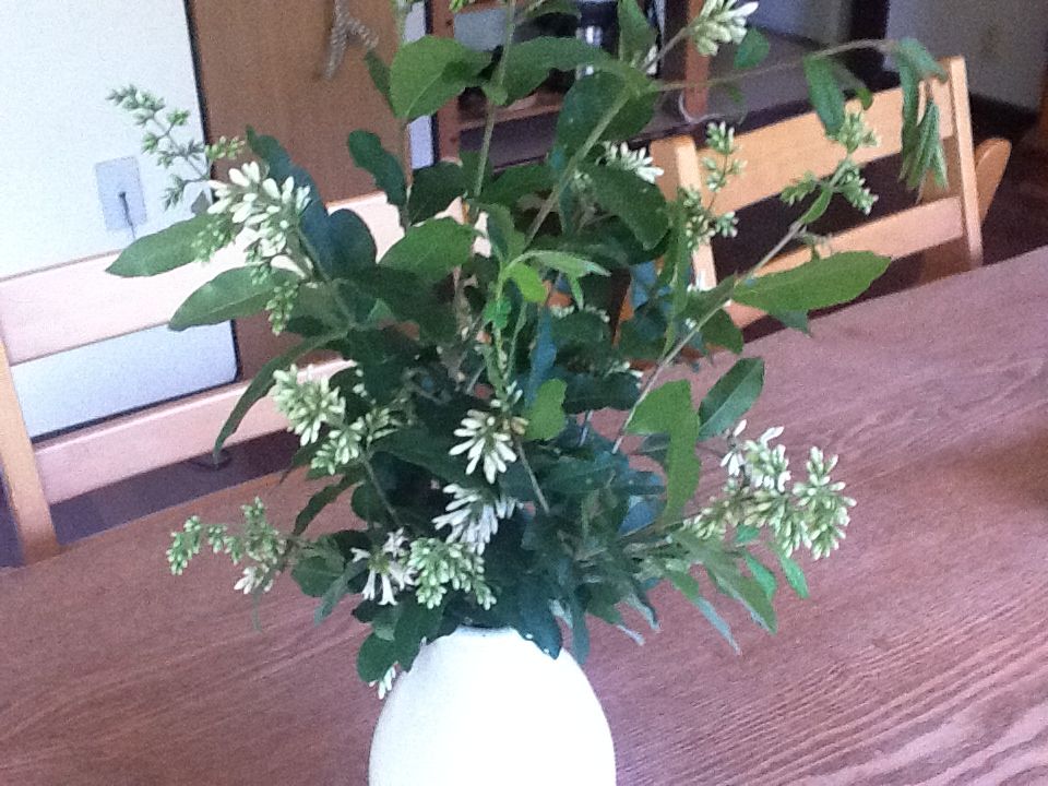 f:id:Fnishi:20130512165604j:image