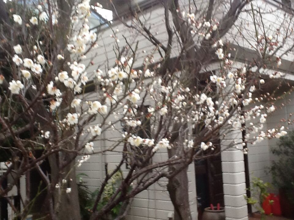 f:id:Fnishi:20140204140818j:image f:id:Fnishi:20140204140818j:image