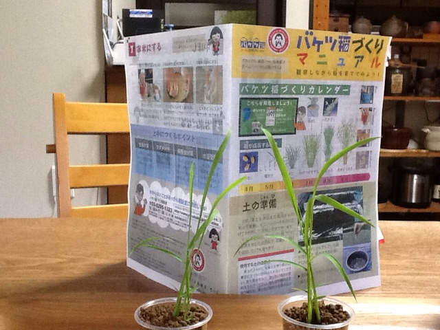 f:id:Fnishi:20150425094500j:plain f:id:Fnishi:20150425094500j:plain