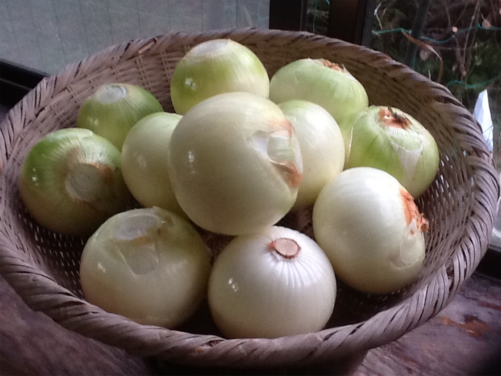 f:id:Fnishi:20151022164036j:image f:id:Fnishi:20151022164036j:image
