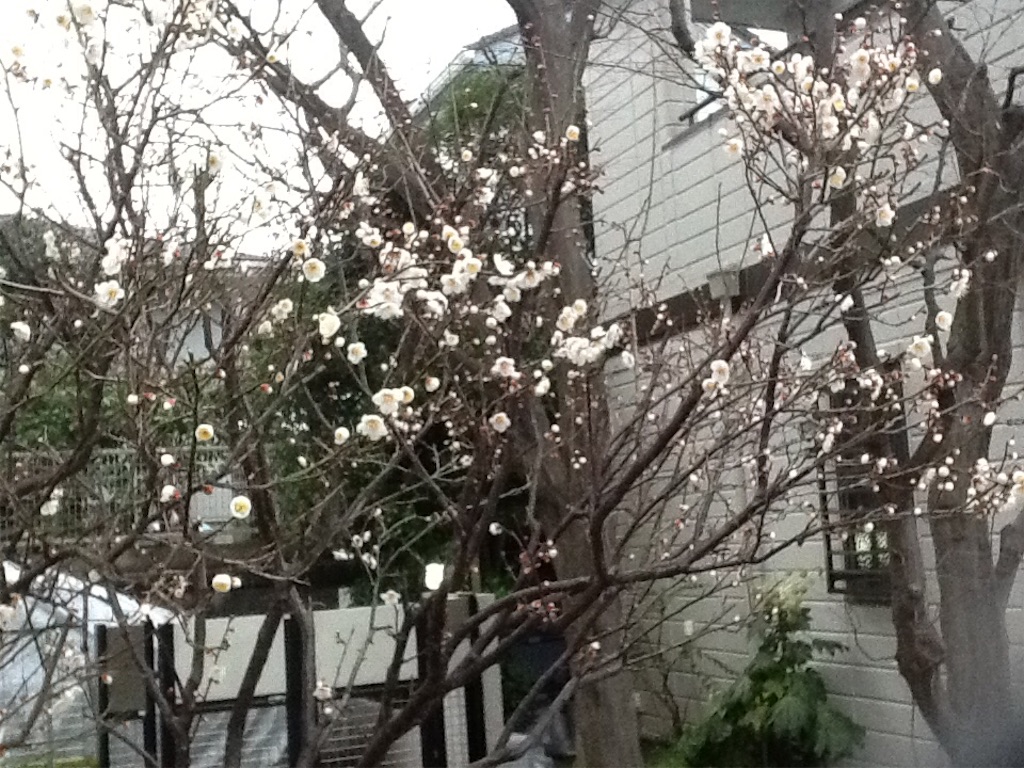 f:id:Fnishi:20160203090538j:image f:id:Fnishi:20160203090538j:image