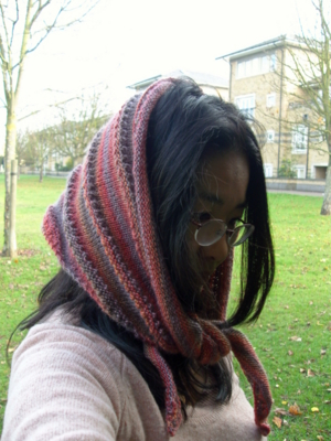 f:id:GAEA73:20111116130332j:image:left f:id:GAEA73:20111116130332j:image:left
