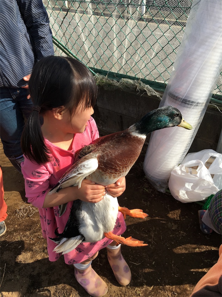 f:id:GPSsetagaya:20160304201333j:image f:id:GPSsetagaya:20160304201333j:image