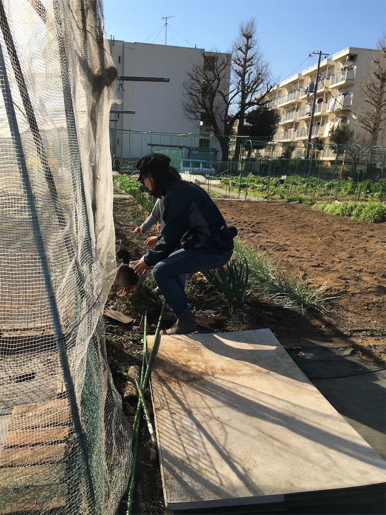 f:id:GPSsetagaya:20160314155257j:image f:id:GPSsetagaya:20160314155257j:image