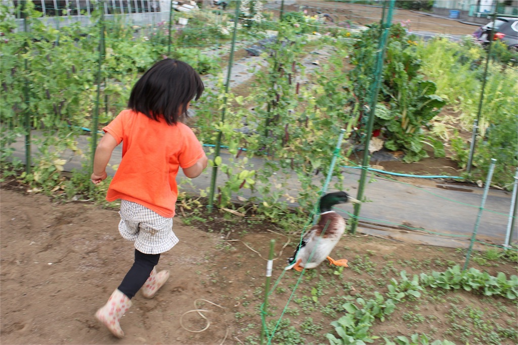 f:id:GPSsetagaya:20160507210931j:image f:id:GPSsetagaya:20160507210931j:image