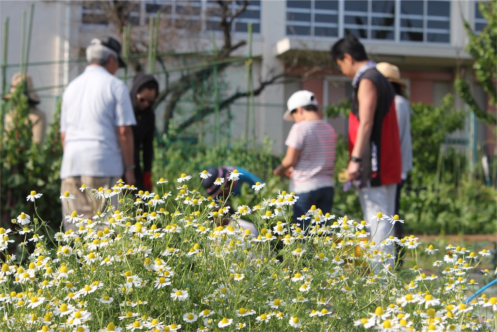 f:id:GPSsetagaya:20160507214555j:image