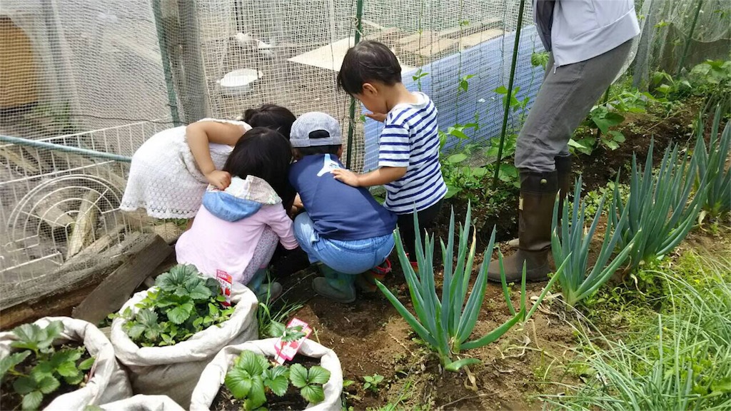 f:id:GPSsetagaya:20160517124503j:image f:id:GPSsetagaya:20160517124503j:image