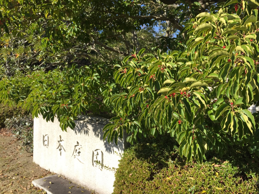 f:id:GardenPorter:20151222172634j:plain f:id:GardenPorter:20151222172634j:plain