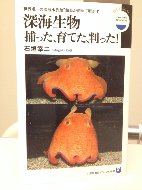 f:id:Goppachi:20140802213845j:plain f:id:Goppachi:20140802213845j:plain
