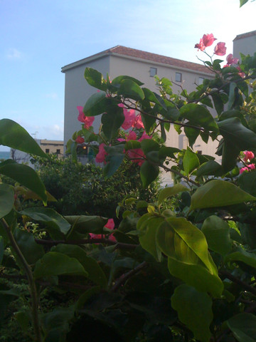 f:id:Guutara:20090719185943j:image