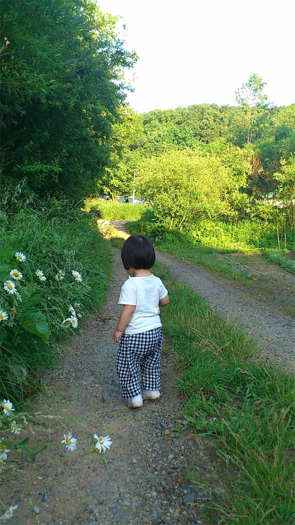 f:id:HARU9197:20160628141510j:image f:id:HARU9197:20160628141510j:image