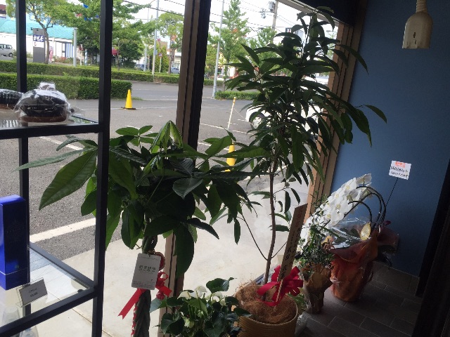 f:id:HIARSALoNTHENAKED:20150605213454j:image f:id:HIARSALoNTHENAKED:20150605213454j:image