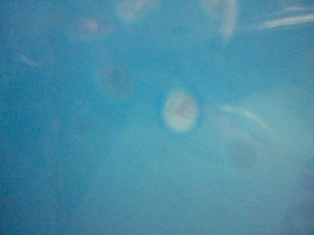 f:id:HIJKLNM-0727:20120808173545j:plain f:id:HIJKLNM-0727:20120808173545j:plain
