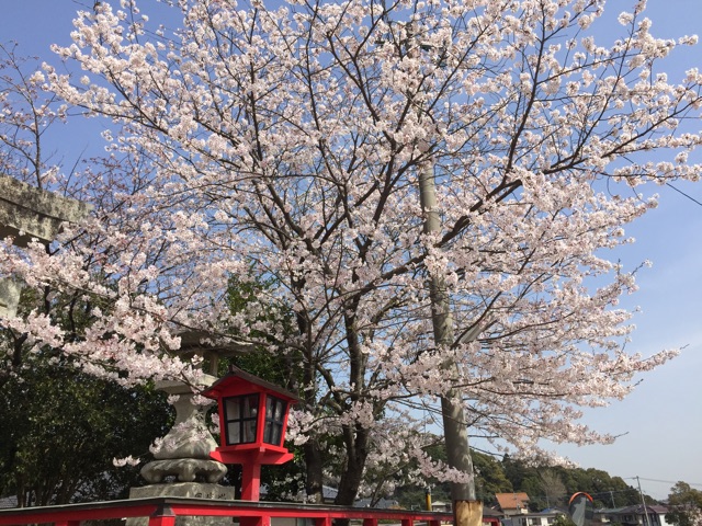 f:id:HIM-aqua:20150330170821j:plain f:id:HIM-aqua:20150330170821j:plain