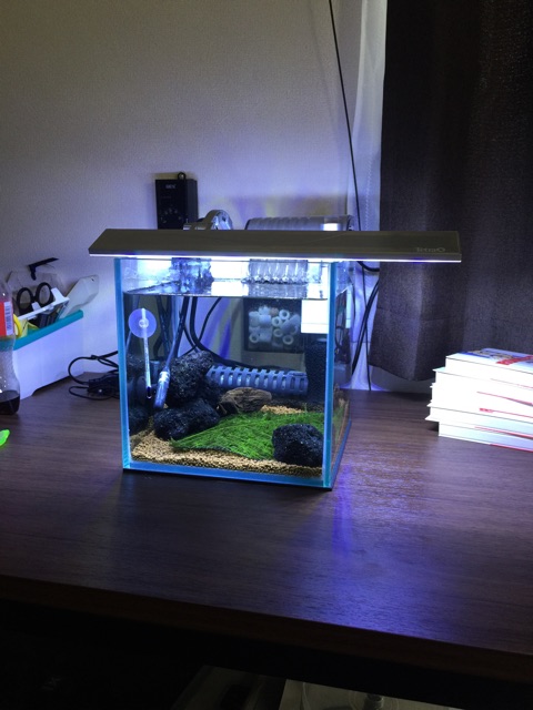 f:id:HIM-aqua:20150330171621j:plain f:id:HIM-aqua:20150330171621j:plain