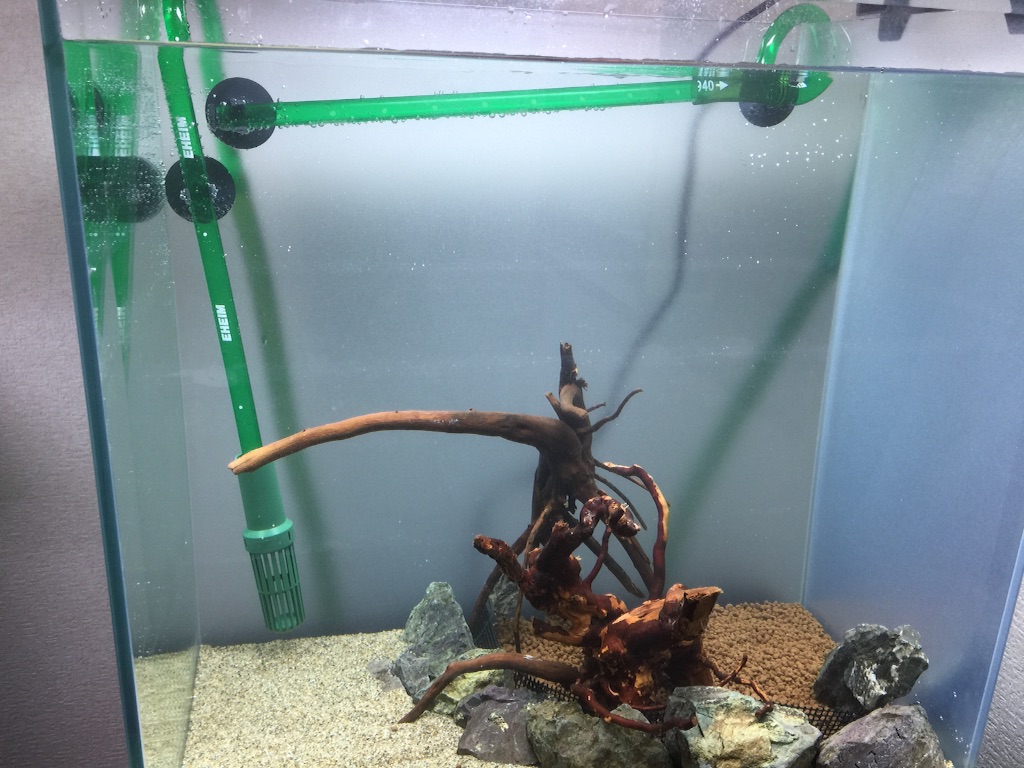 f:id:HIM-aqua:20150725222606j:image f:id:HIM-aqua:20150725222606j:image