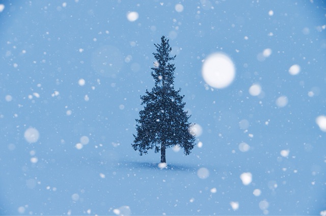 f:id:HOUHIN:20141208160646j:plain f:id:HOUHIN:20141208160646j:plain