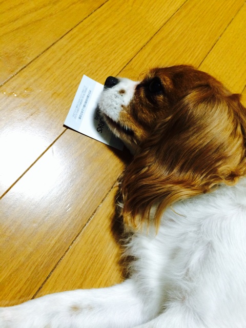 f:id:HYLE:20140630011144j:plain f:id:HYLE:20140630011144j:plain