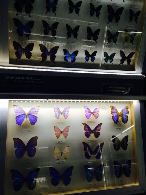 f:id:HYLE:20141029001444j:plain f:id:HYLE:20141029001444j:plain