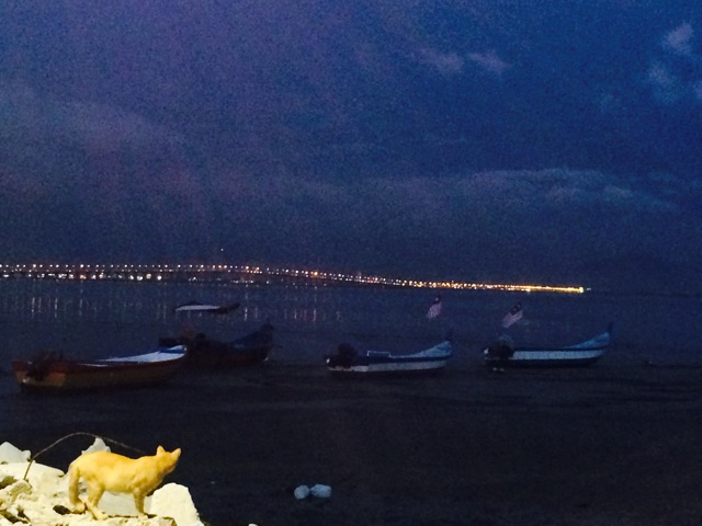 f:id:HYLE:20141029083434j:plain f:id:HYLE:20141029083434j:plain