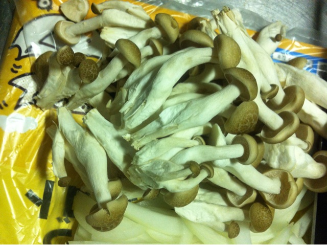f:id:HYUG4:20150527204910j:plain f:id:HYUG4:20150527204910j:plain