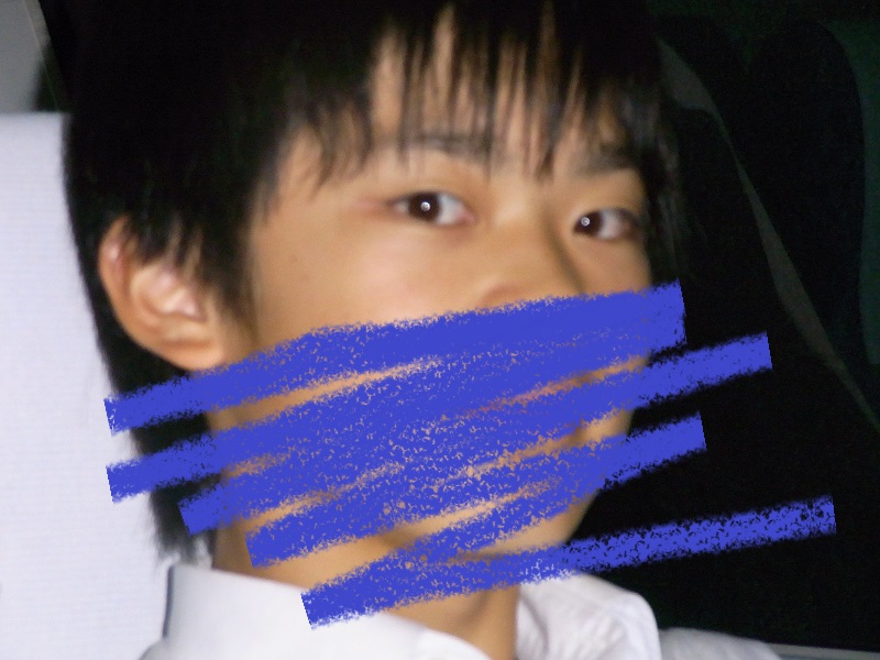 f:id:HaLuKa:20130526120551j:plain