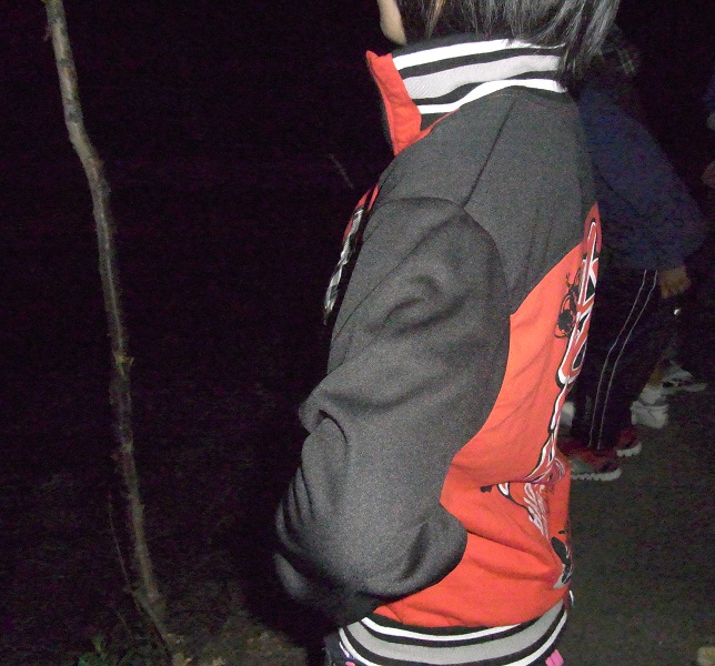 f:id:HaLuKa:20130527194013j:plain