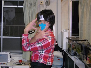 f:id:HaLuKa:20131115175506j:plain f:id:HaLuKa:20131115175506j:plain