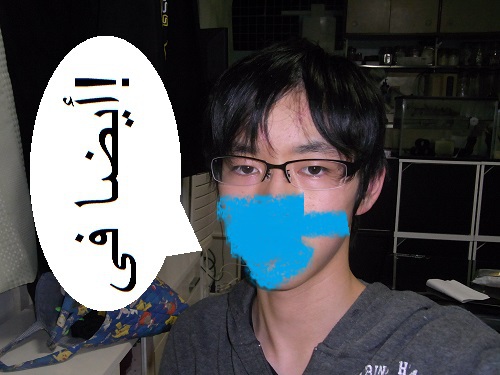 f:id:HaLuKa:20140312230059j:plain