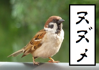 f:id:HaLuKa:20140315200832j:plain