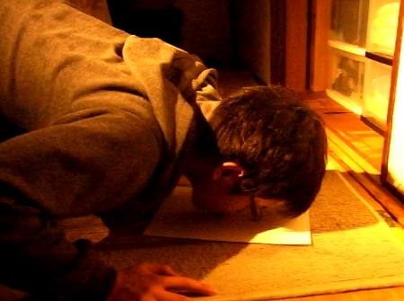 f:id:HaLuKa:20140604225641j:plain f:id:HaLuKa:20140604225641j:plain