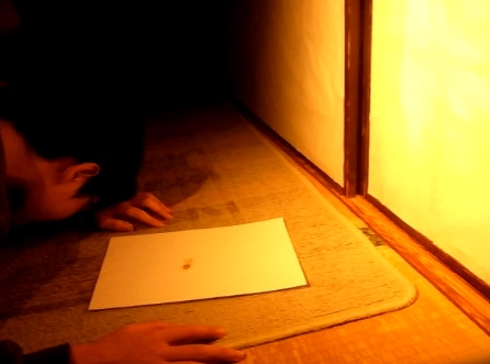 f:id:HaLuKa:20140605001956j:plain f:id:HaLuKa:20140605001956j:plain