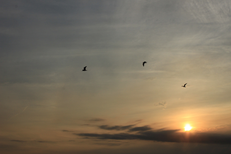 f:id:HaLuKa:20150622011941p:plain f:id:HaLuKa:20150622011941p:plain