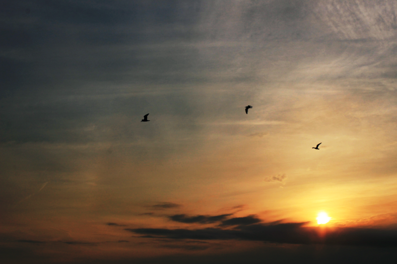 f:id:HaLuKa:20150622012024p:plain f:id:HaLuKa:20150622012024p:plain