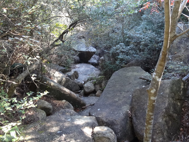 f:id:Hanamaru:20151025125045j:plain f:id:Hanamaru:20151025125045j:plain