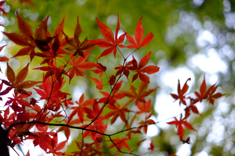 f:id:HappyBox:20141120153653j:plain f:id:HappyBox:20141120153653j:plain