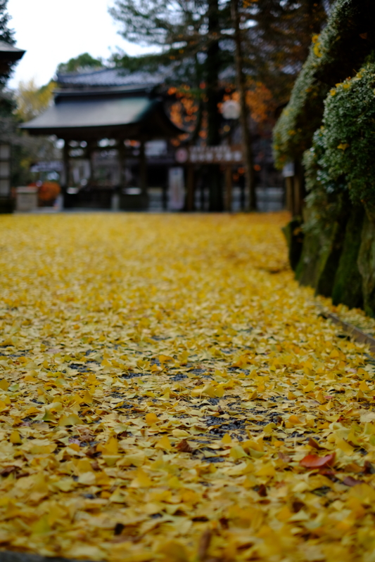 f:id:HappyBox:20141126133106j:plain f:id:HappyBox:20141126133106j:plain