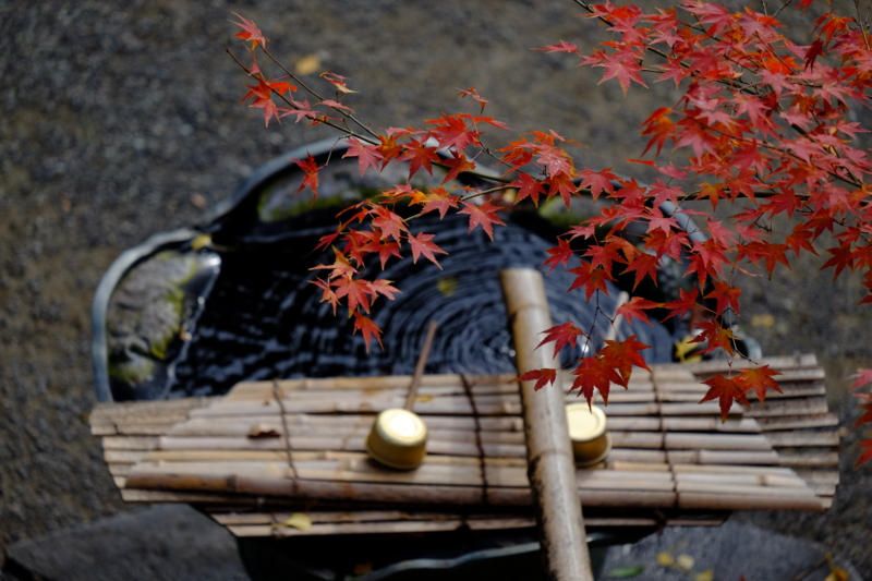 f:id:HappyBox:20141126134919j:plain f:id:HappyBox:20141126134919j:plain