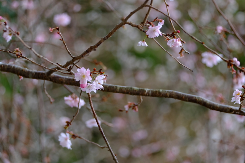 f:id:HappyBox:20141126135805j:plain f:id:HappyBox:20141126135805j:plain