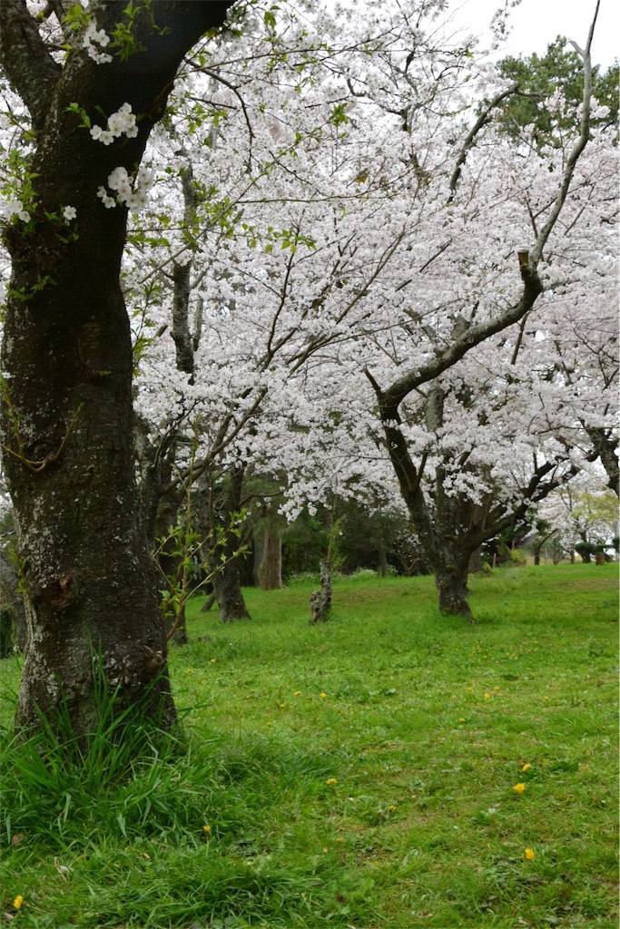 f:id:HaruruAdventure:20160421225837j:image f:id:HaruruAdventure:20160421225837j:image