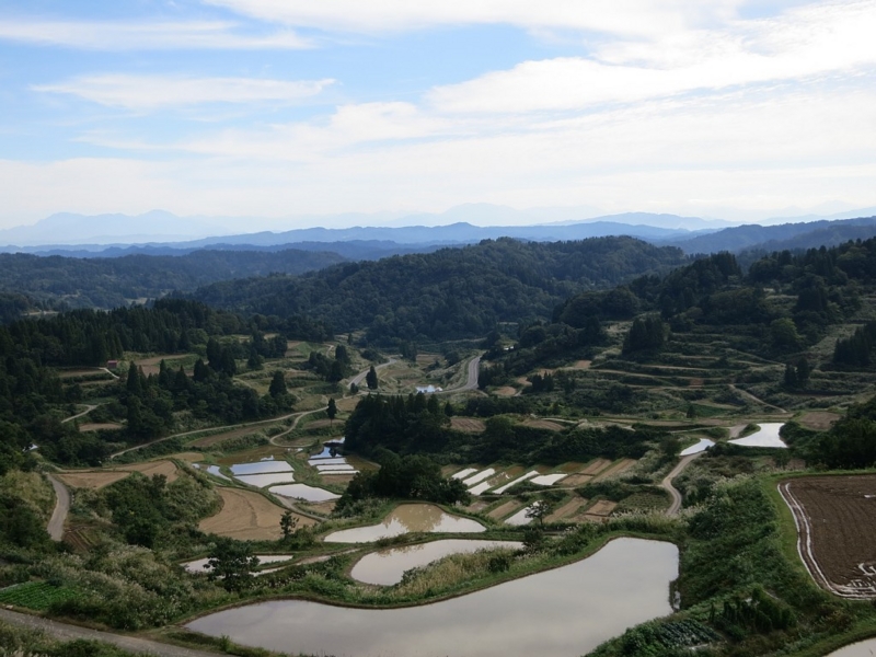 f:id:HiLa:20121017110550j:plain f:id:HiLa:20121017110550j:plain