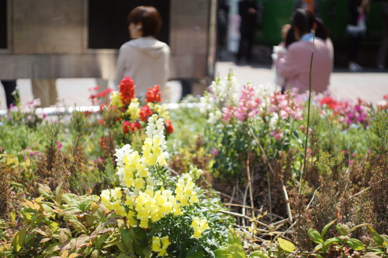 f:id:HiroakiAndoh:20120512094058j:plain f:id:HiroakiAndoh:20120512094058j:plain