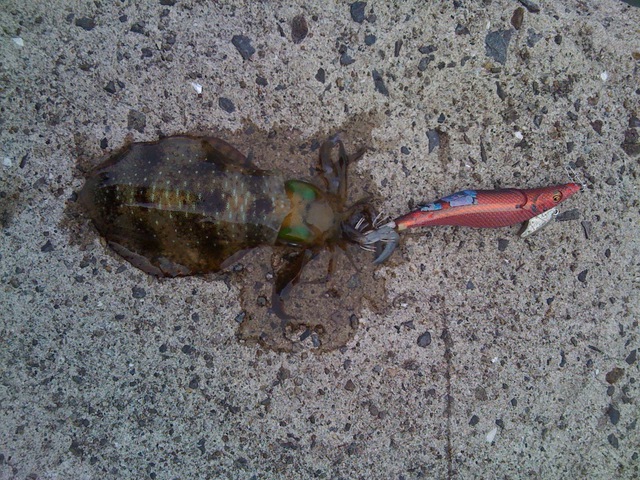 f:id:HomeBrewStudio:20120908084537j:image f:id:HomeBrewStudio:20120908084537j:image