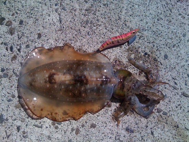 f:id:HomeBrewStudio:20120908111805j:image f:id:HomeBrewStudio:20120908111805j:image