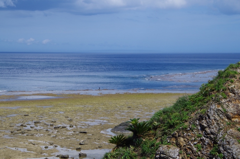 f:id:HomeBrewStudio:20150617142740j:image f:id:HomeBrewStudio:20150617142740j:image