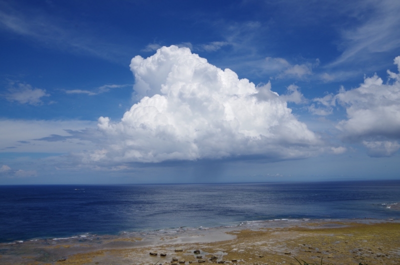 f:id:HomeBrewStudio:20150617143054j:image f:id:HomeBrewStudio:20150617143054j:image