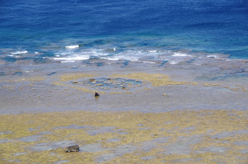 f:id:HomeBrewStudio:20150617143501j:image f:id:HomeBrewStudio:20150617143501j:image