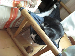 f:id:Hoshiba:20081013144137j:image f:id:Hoshiba:20081013144137j:image